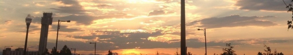 cropped-cropped-cropped-photo31.jpg