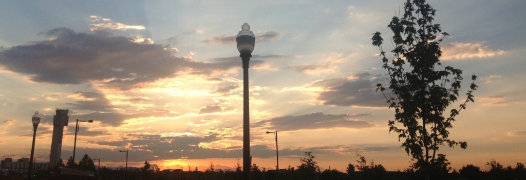cropped-photo3.jpg